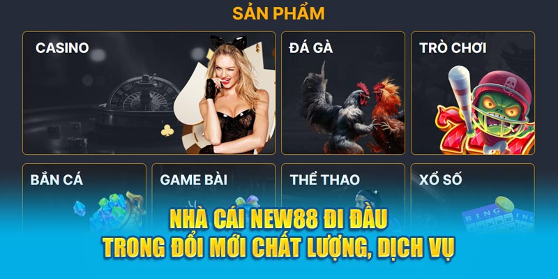 Sự dẫn đầu trong việc cung cấp chất lượng và dịch vụ