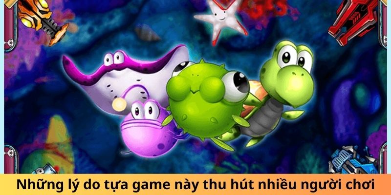 Lý do game bắn cá đổi thưởng thu hút đông đảo người chơi